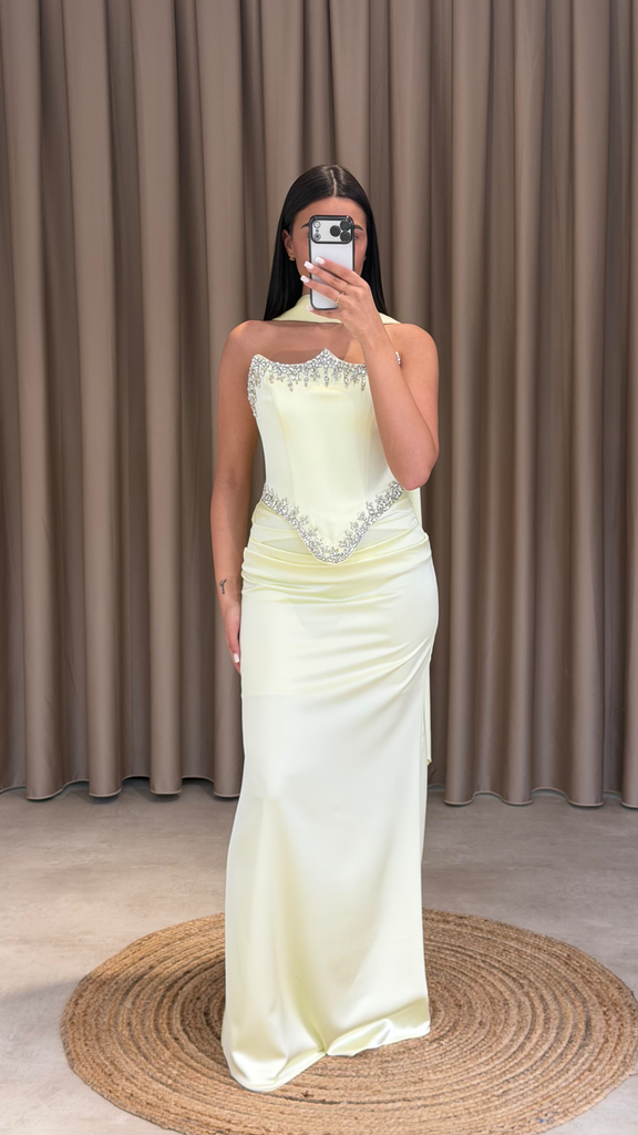 PAMELA (36)